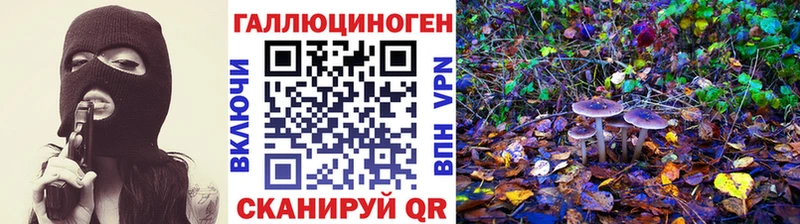 где найти   Урюпинск  Псилоцибиновые грибы Magic Shrooms 